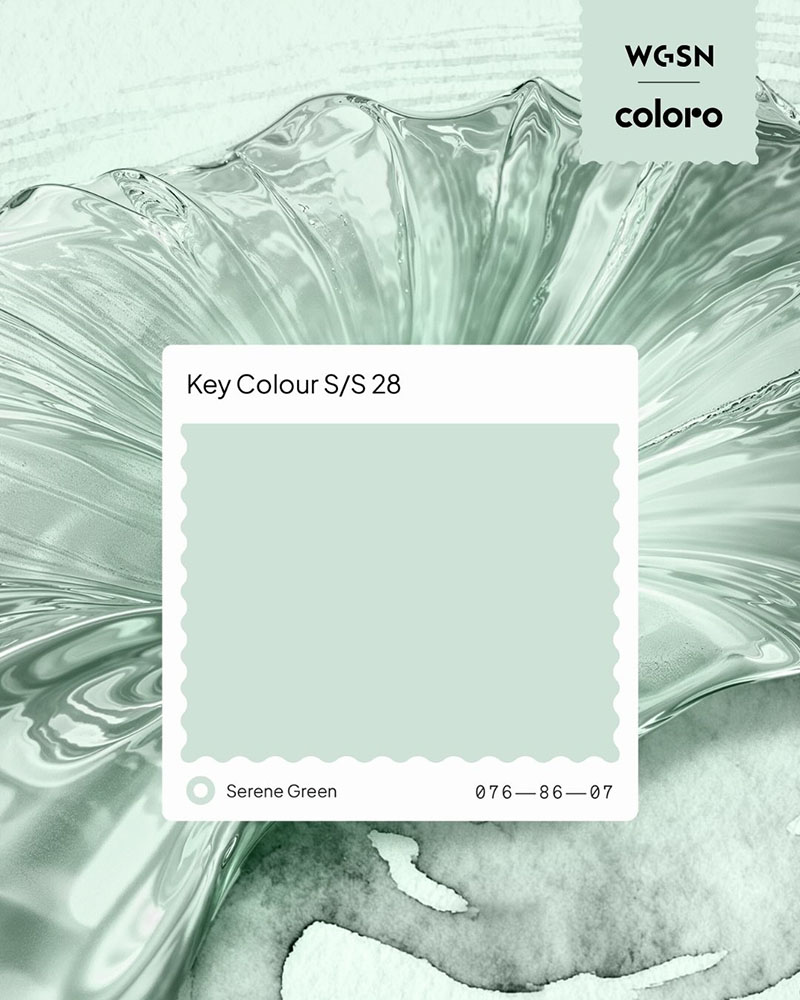 coloro 076-86-07
